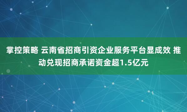 掌控策略 云南省招商引资企业服务平台显成效 推动兑现招商承诺资金超1.5亿元
